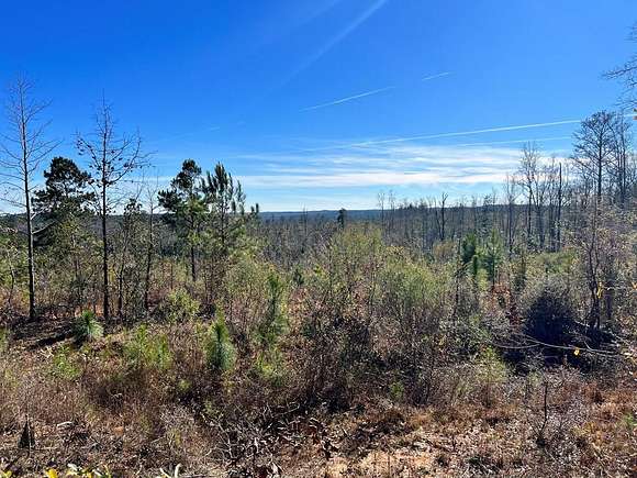 42 Acres of Recreational Land for Sale in Clayton, Alabama