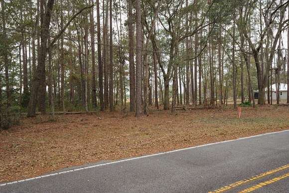 0.74 Acres of Residential Land for Sale in Townsend, Georgia
