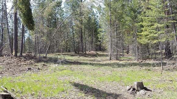 6.1 Acres of Residential Land for Sale in Eureka, Montana