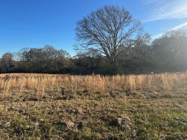 1.1 Acres of Residential Land for Sale in Carriere, Mississippi