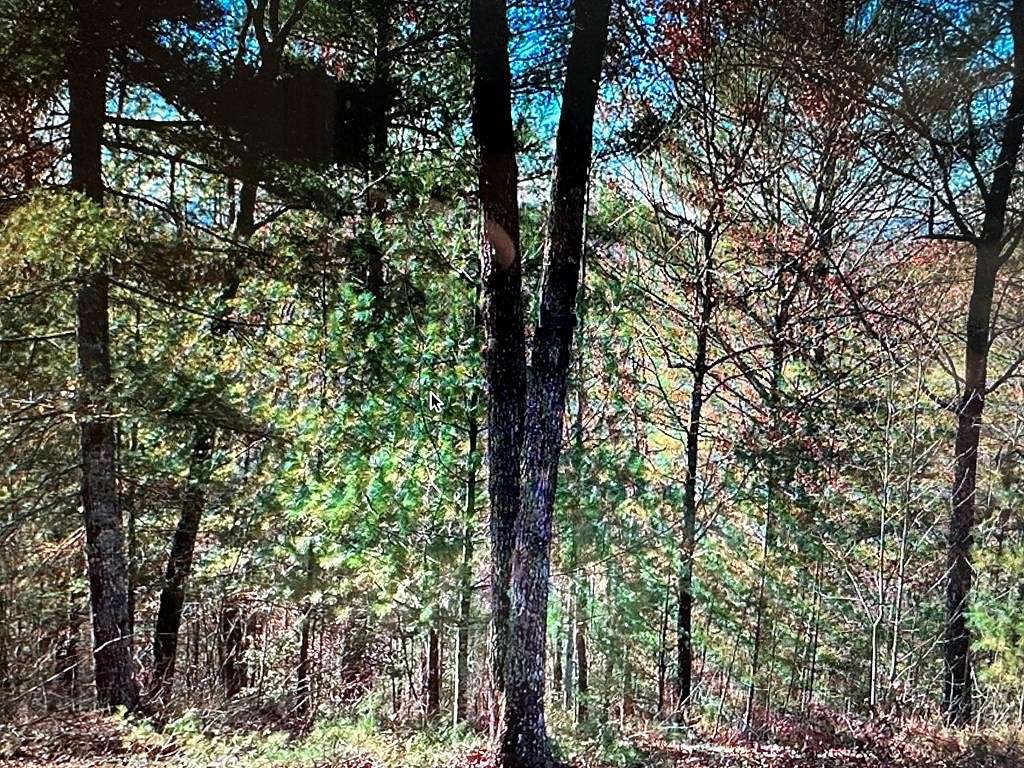 Land for Sale in Murphy, North Carolina