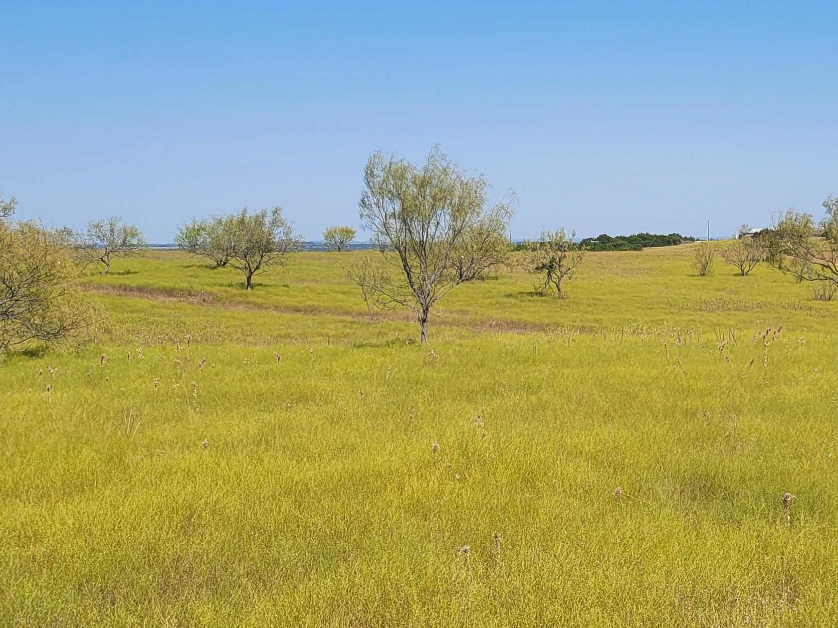 14 Acres of Agricultural Land for Sale in Burnet, Texas