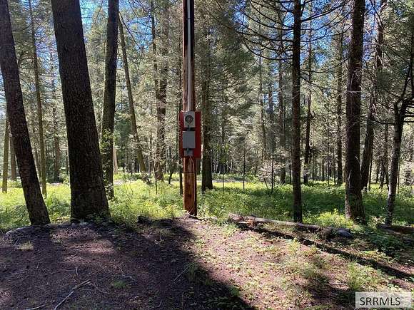 1.75 Acres of Residential Land for Sale in Island Park, Idaho