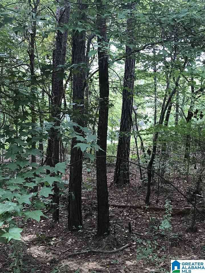 0.53 Acres of Land for Sale in Alpine, Alabama