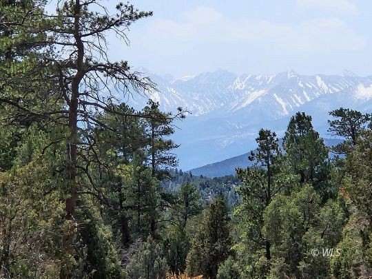 5.21 Acres of Land for Sale in Texas Creek, Colorado