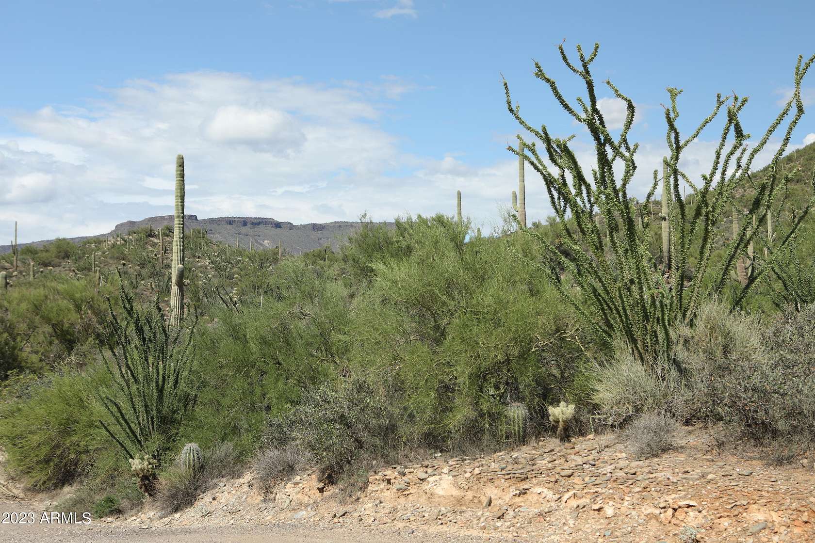 9.8 Acres of Land for Sale in Cave Creek, Arizona