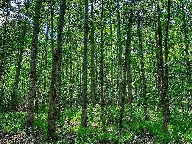 24.4 Acres of Recreational Land for Sale in La Fayette, Alabama