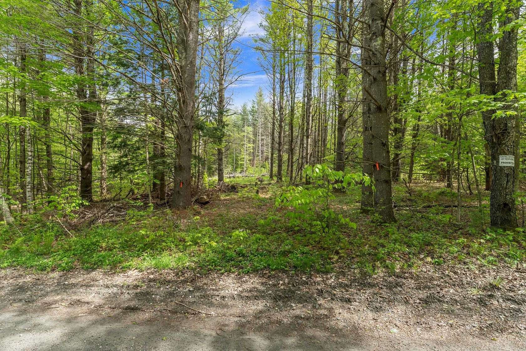 17.6 Acres of Land for Sale in Randolph, Vermont