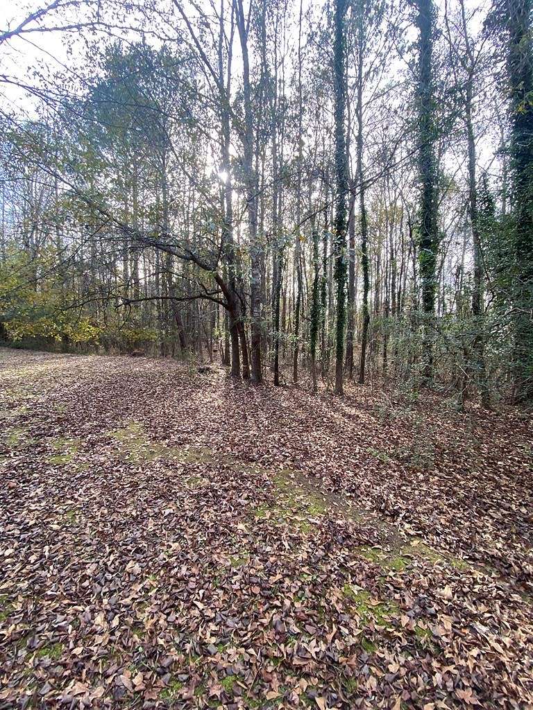 2 Acres of Residential Land for Sale in Cataula, Georgia