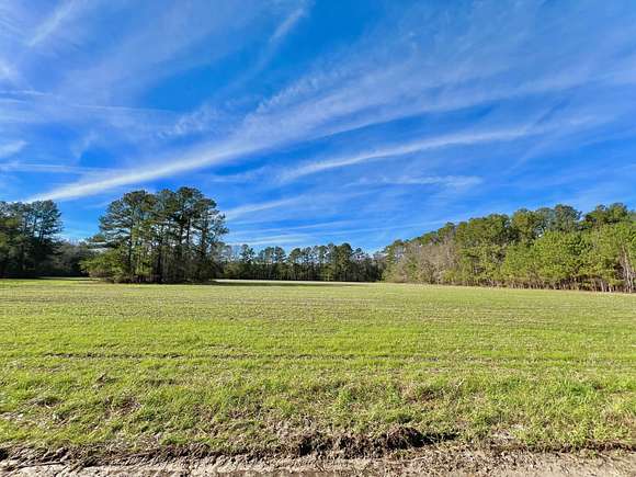 20.6 Acres of Agricultural Land for Sale in St. George, South Carolina