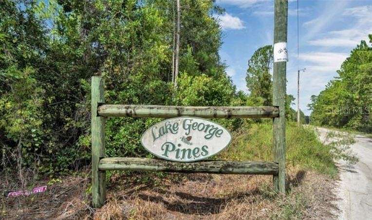 13 Acres of Land for Sale in Pierson, Florida