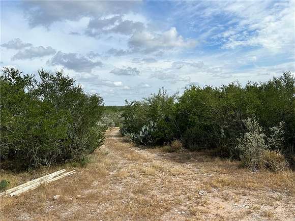 91.6 Acres of Land with Home for Sale in Benavides, Texas