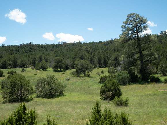 50 Acres of Land for Sale in Tajique, New Mexico