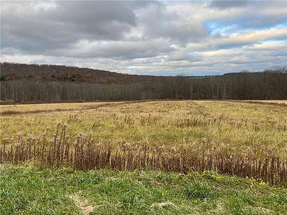1 Acre of Residential Land for Sale in Brooktondale, New York