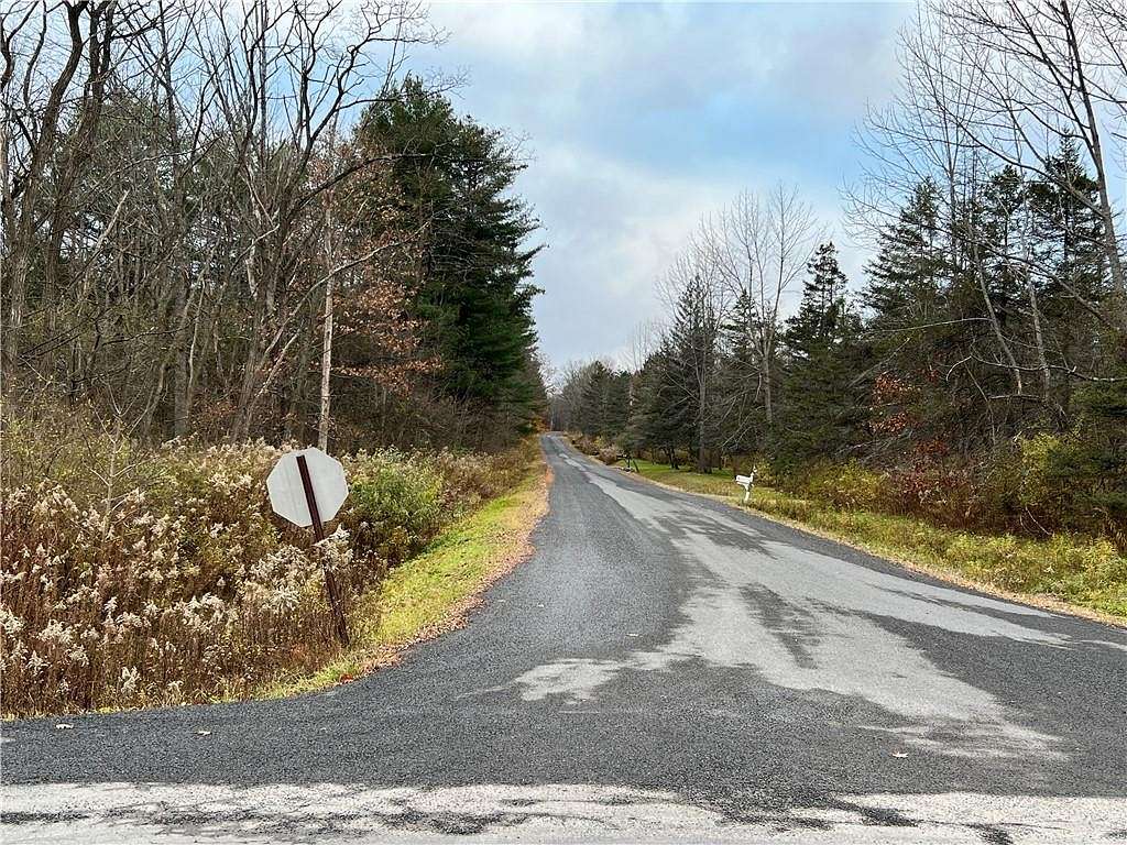 1.1 Acres of Residential Land for Sale in Brooktondale, New York
