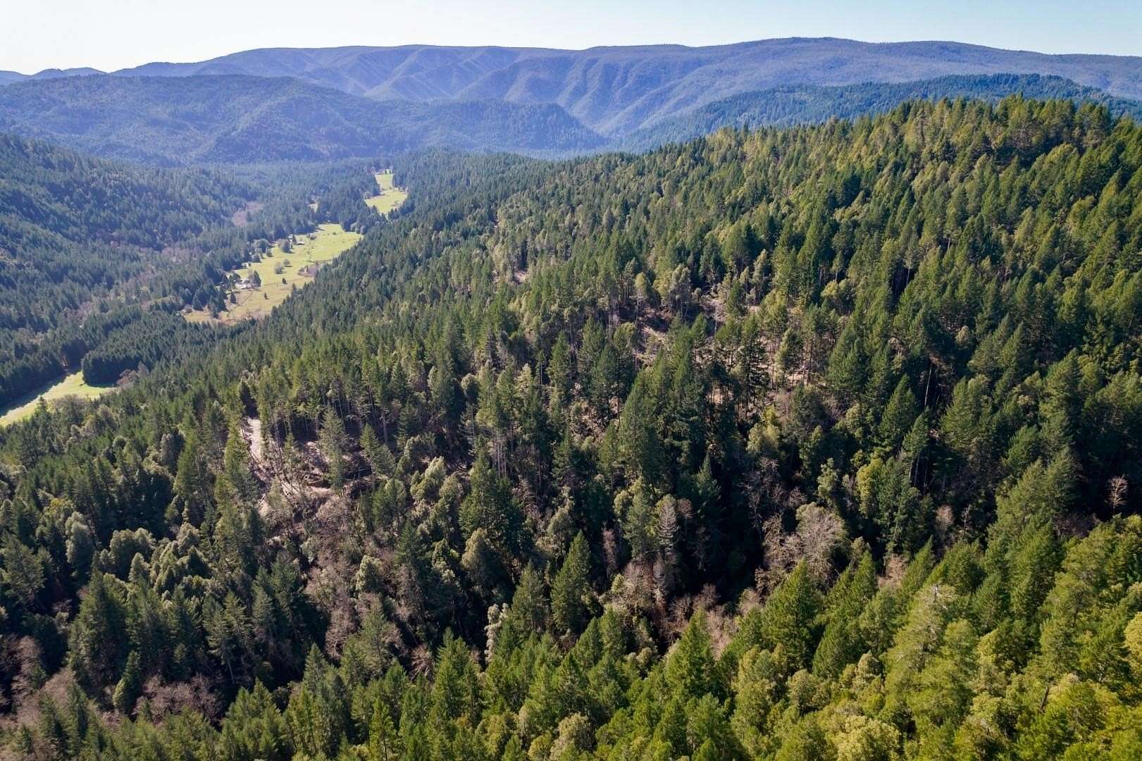 128 Acres of Recreational & Residential Land for Sale in Crescent City, California