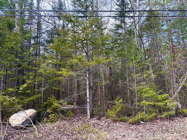 0.79 Acres of Residential Land for Sale in Presque Isle, Michigan