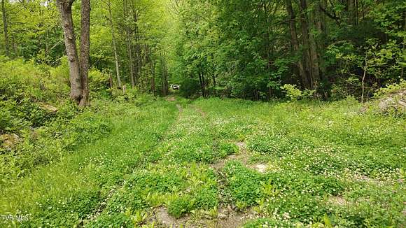 18.4 Acres of Land for Sale in Unicoi, Tennessee