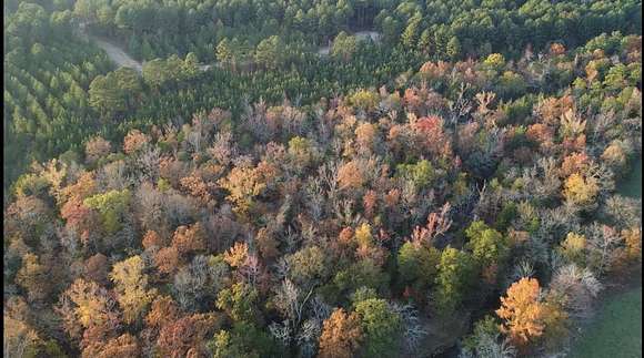 1.03 Acres of Residential Land for Sale in Broken Bow, Oklahoma