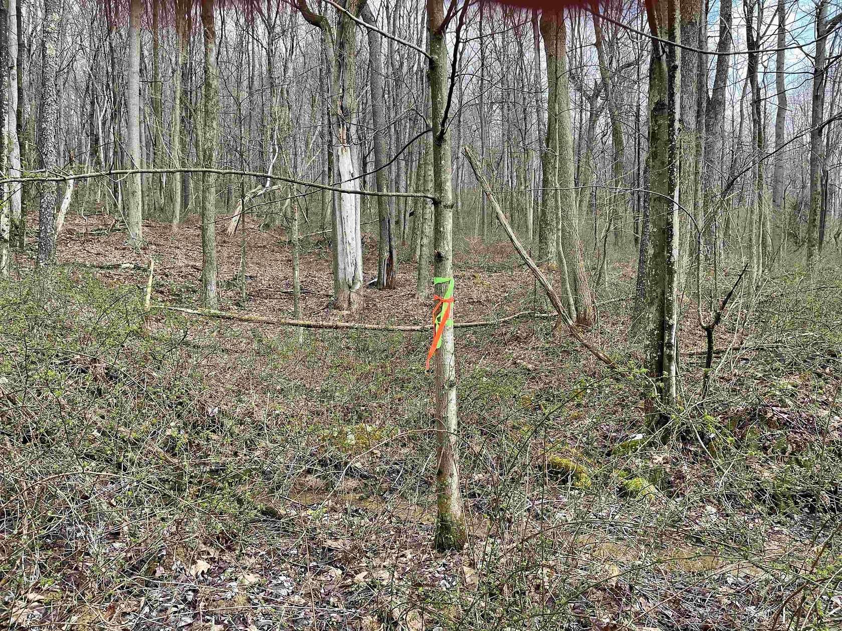 2 Acres of Residential Land for Sale in Masontown, West Virginia