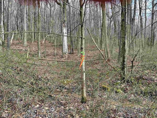 2 Acres of Residential Land for Sale in Masontown, West Virginia