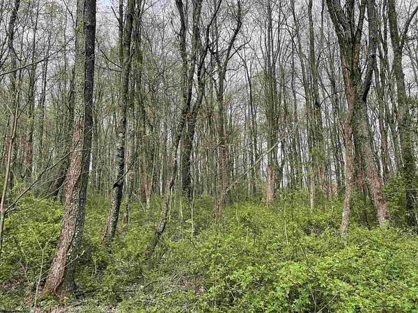 2 Acres of Residential Land for Sale in Masontown, West Virginia