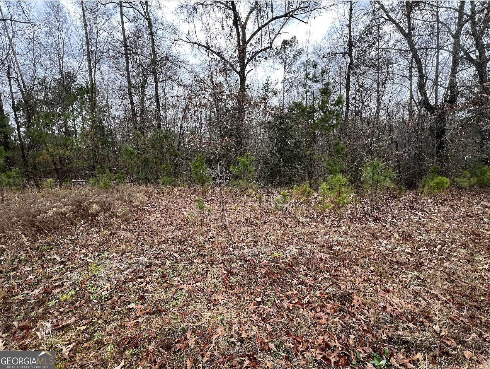 0.81 Acres of Residential Land for Sale in Macon, Georgia