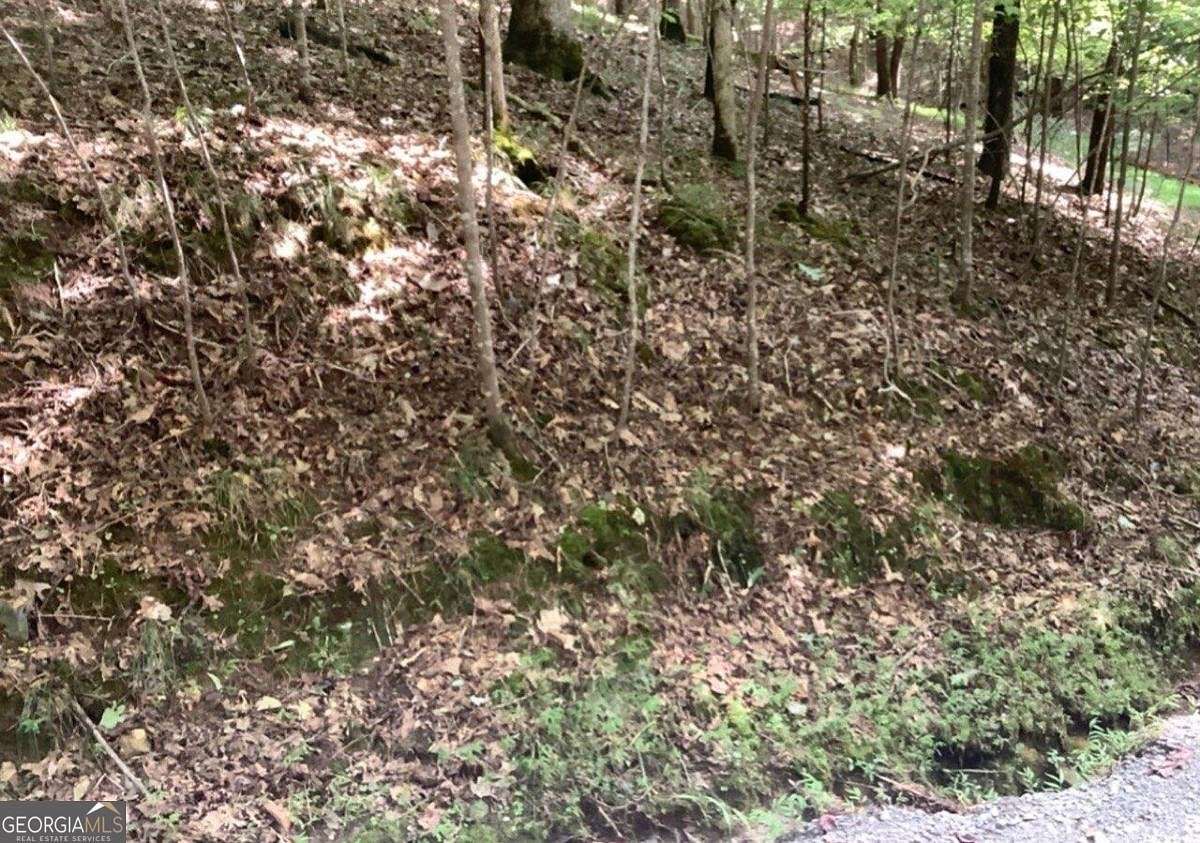0.73 Acres of Residential Land for Sale in Ellijay, Georgia