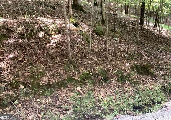 0.73 Acres of Residential Land for Sale in Ellijay, Georgia