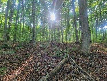 1.06 Acres of Residential Land for Sale in Gaylord, Michigan