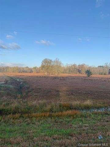 11.6 Acres of Mixed-Use Land for Sale in Kinder, Louisiana