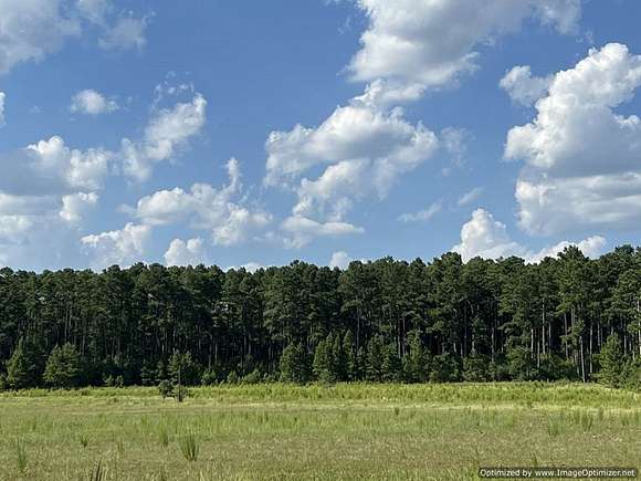 33 Acres of Recreational Land for Sale in Ruth, Mississippi