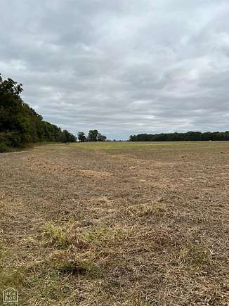 88.4 Acres of Land for Sale in Peach Orchard, Arkansas