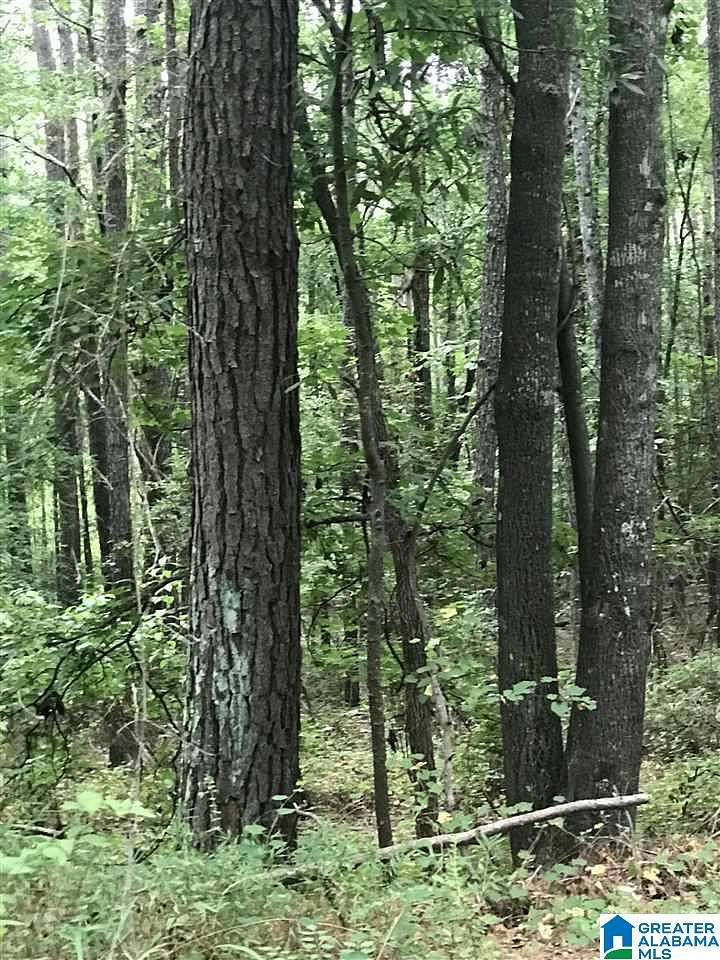 0.98 Acres of Land for Sale in Alpine, Alabama