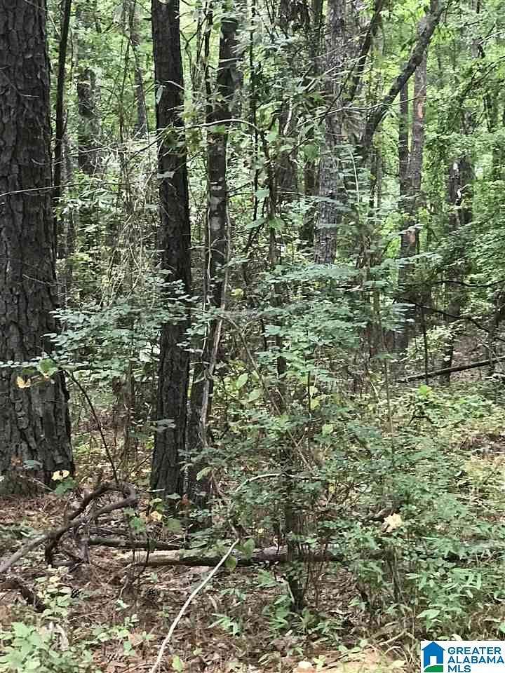 0.42 Acres of Land for Sale in Alpine, Alabama