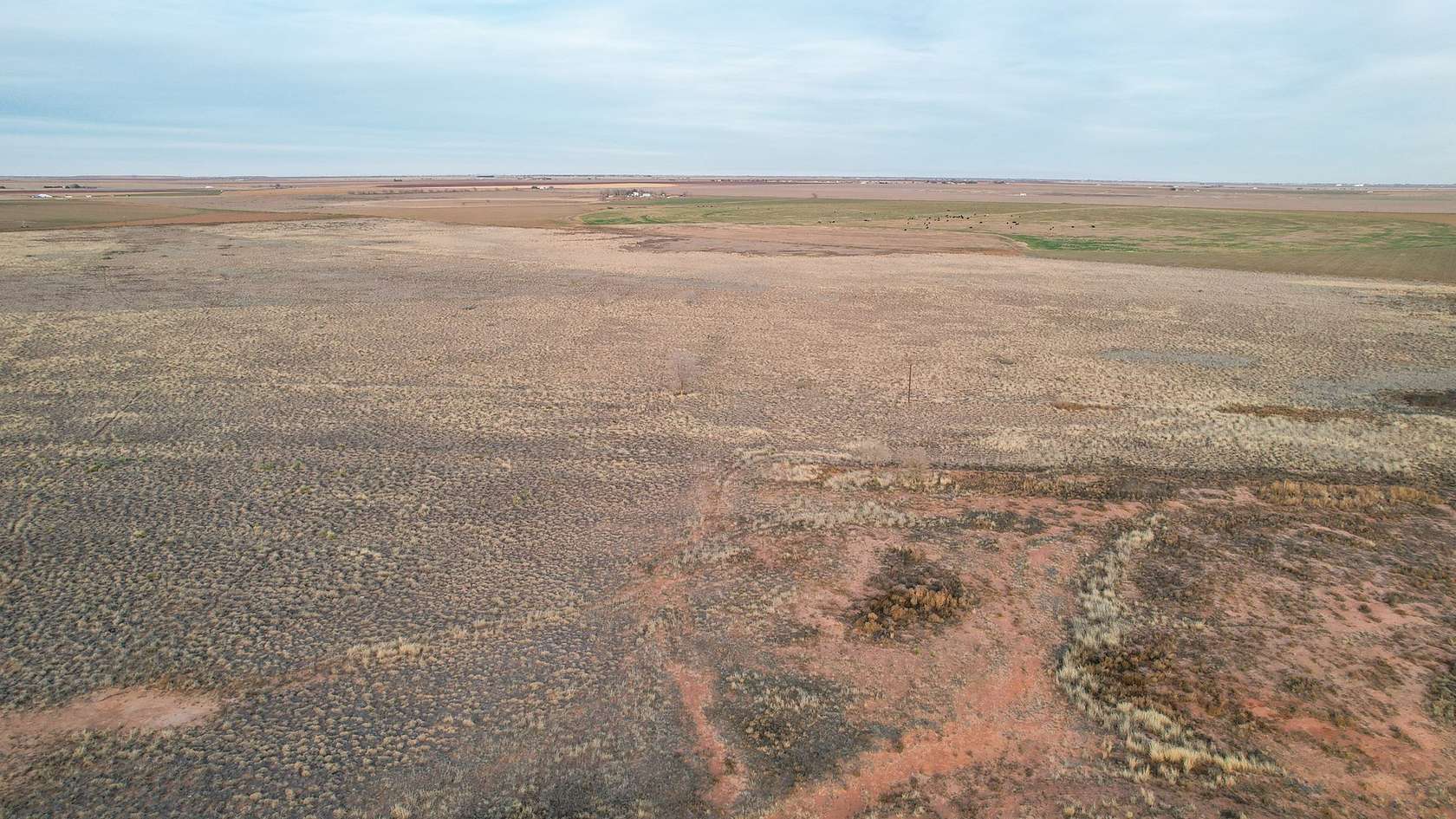 23 Acres of Recreational Land & Farm for Sale in Lubbock, Texas
