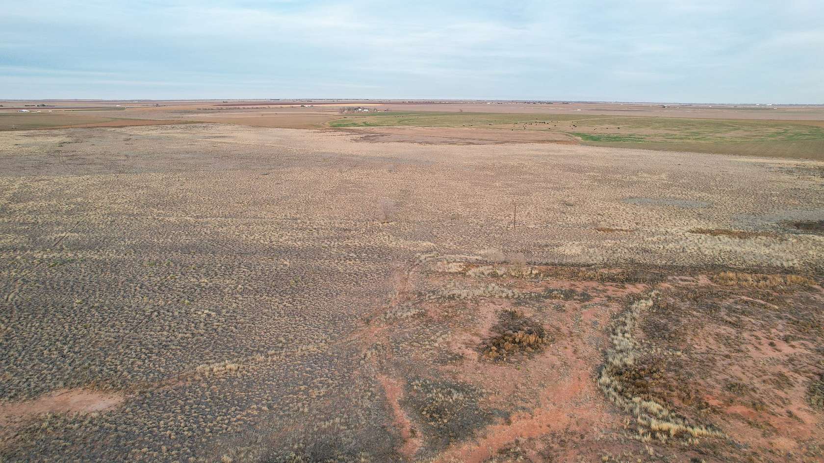 23 Acres of Agricultural Land for Sale in Lubbock, Texas