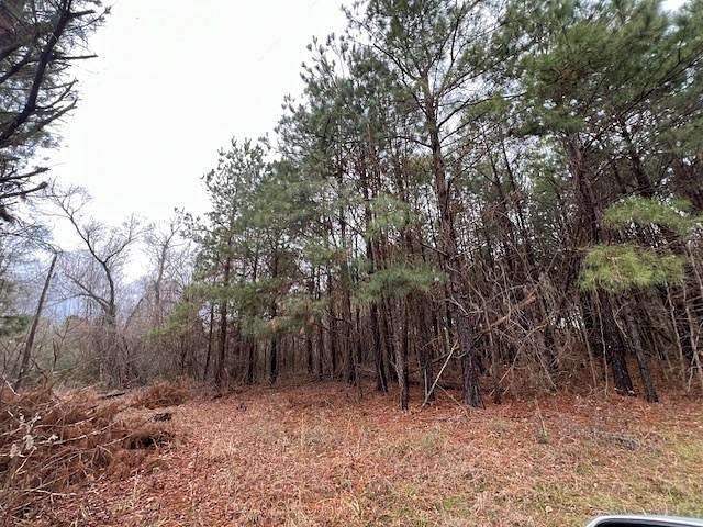 19.5 Acres of Land for Sale in Hughes Springs, Texas