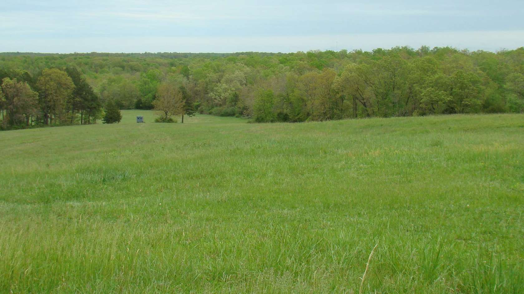 200 Acres of Recreational Land with Home for Sale in Summersville, Missouri