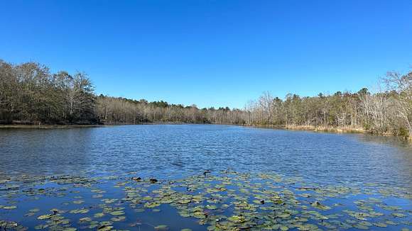 242 Acres of Recreational Land for Sale in Dry Branch, Georgia