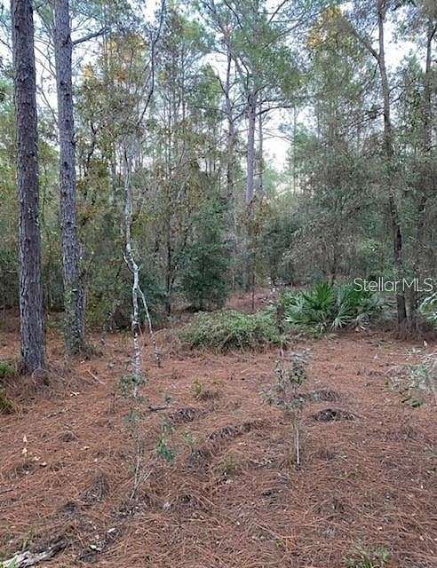 1.2 Acres of Residential Land for Sale in Ocala, Florida