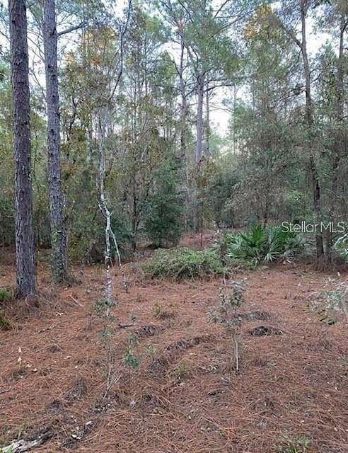 1.23 Acres of Residential Land for Sale in Ocala, Florida