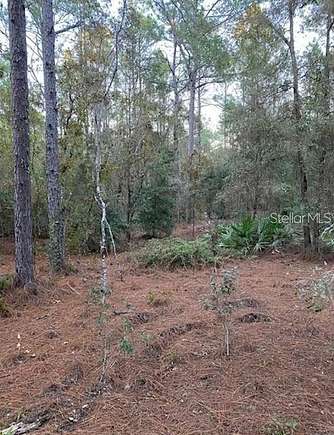 1.23 Acres of Residential Land for Sale in Ocala, Florida