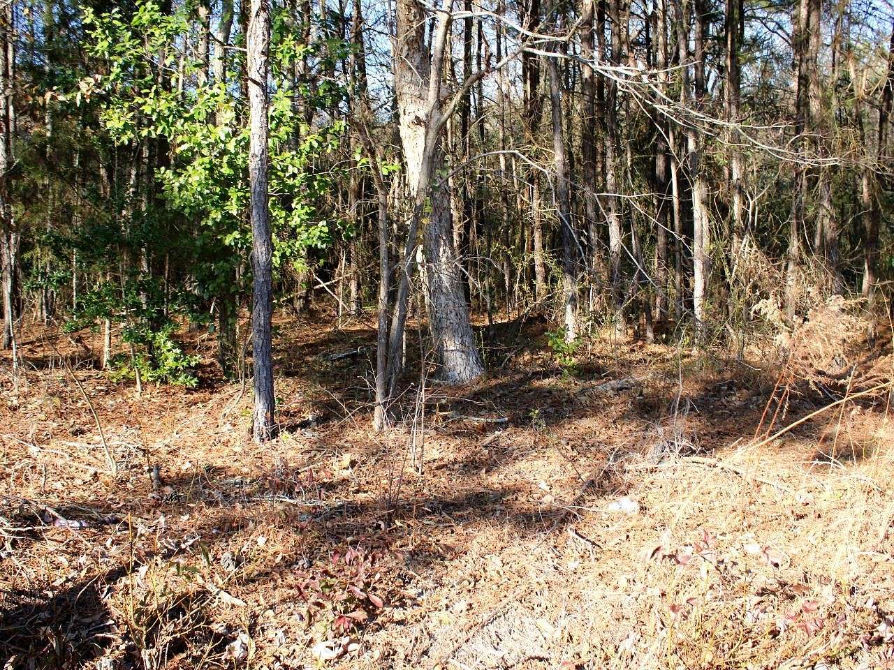 11.5 Acres of Land for Sale in Dunn, North Carolina