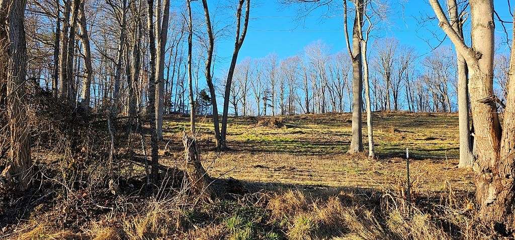 0.86 Acres of Residential Land for Sale in Meadowview, Virginia