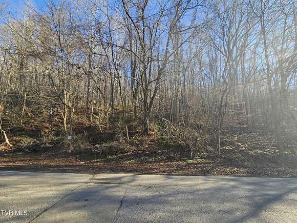 0.4 Acres of Land for Sale in Saltville, Virginia