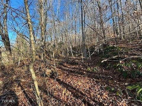 0.4 Acres of Land for Sale in Saltville, Virginia