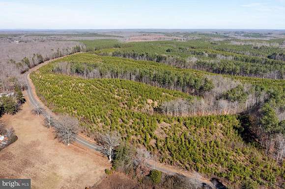 47.6 Acres of Land for Sale in Lignum, Virginia