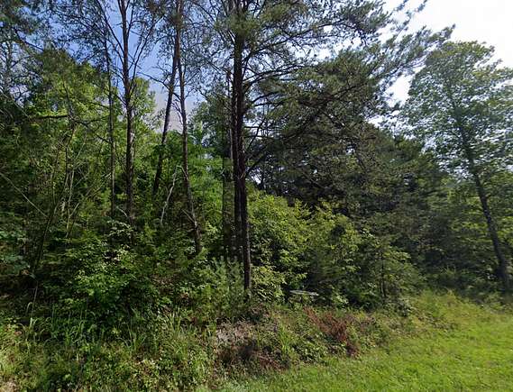 10 Acres of Land for Sale in Henry, Virginia