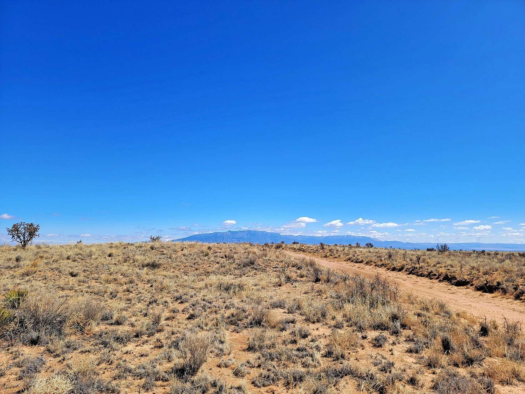 0.5 Acres of Land for Sale in Rio Rancho, New Mexico
